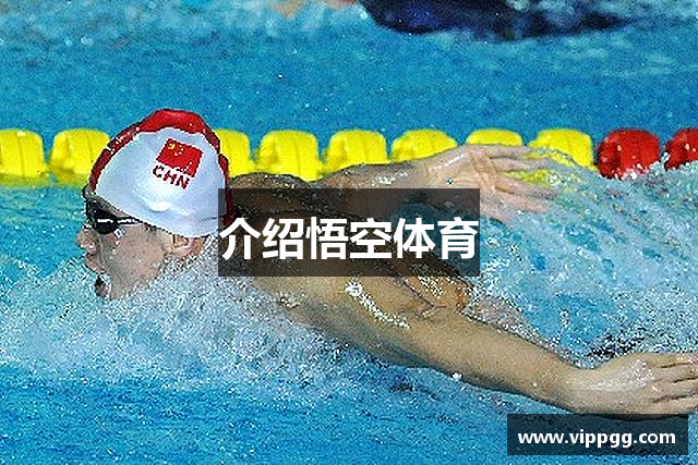 介绍悟空体育